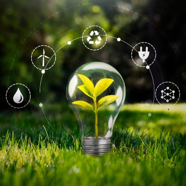 abogados ambientales bogota